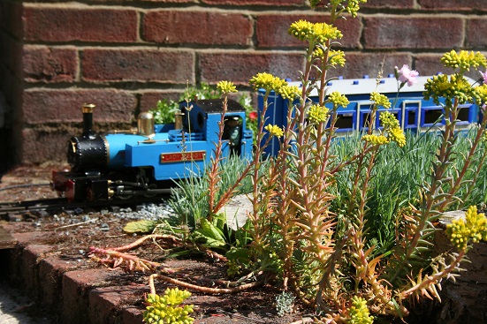 Lady Peggy in full steam
